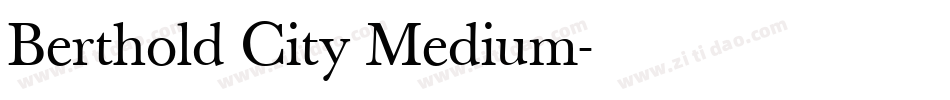 Berthold City Medium字体转换